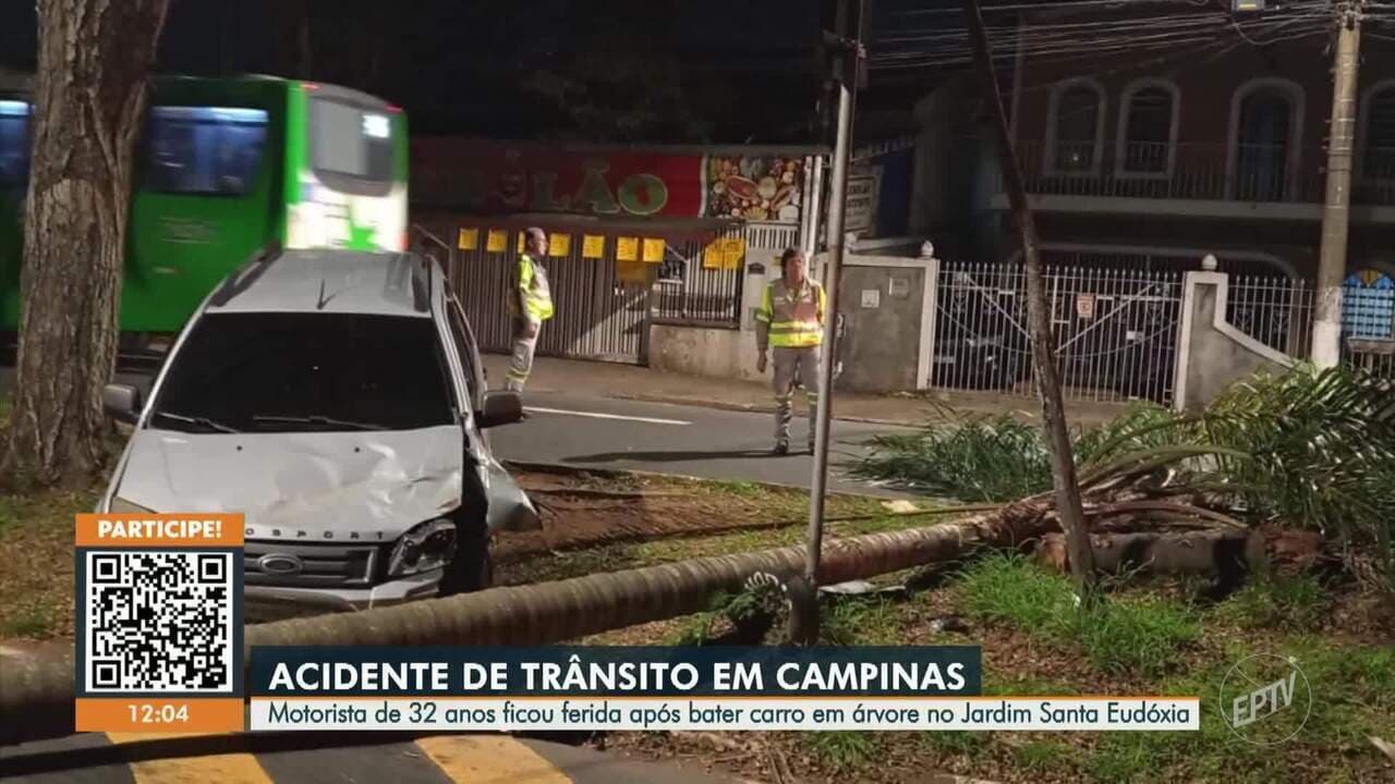 Mulher de 32 anos fica ferida após bater em árvore no Jardim Santa Eudóxia em Campinas